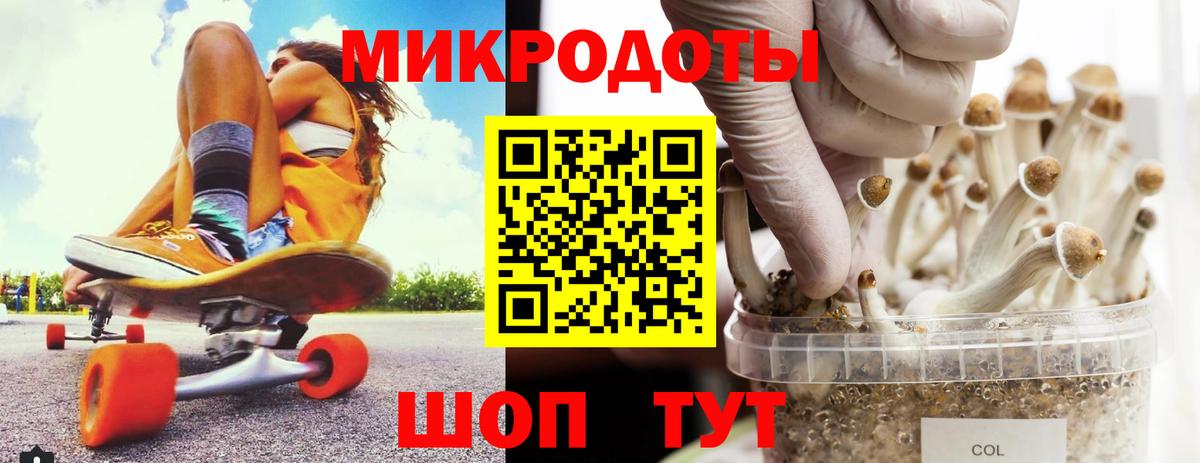 Псилоцибиновые грибы Psilocybine cubensis  Вход с VPN  Еманжелинск 